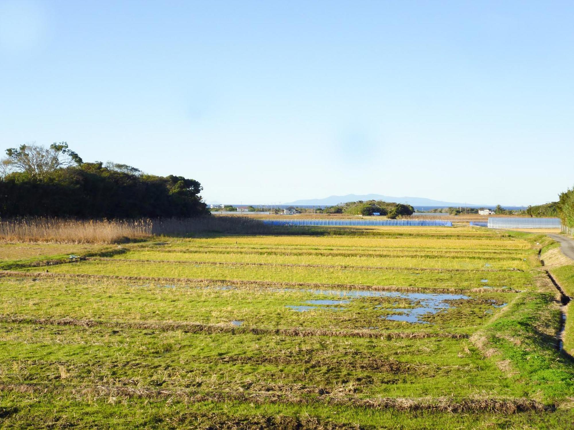 Pension Flora Tateyama  Dış mekan fotoğraf